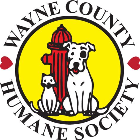 Wayne county humane society - Wayne County Humane Society requires you to make an appointment with a veterinarian 1 week after the adoption process is finalized. Adoption applications are located here. Adoption Fees. Adoption fees at Wayne County Humane Society are as follows: Dogs. Puppies (up to 6 months): $300; Select adults (6+ months): $250; Small adults (6+ months, up ... 